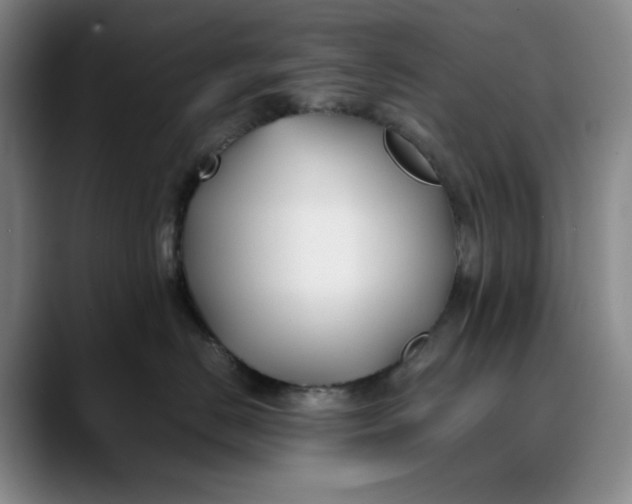 X0000088680670200706141355