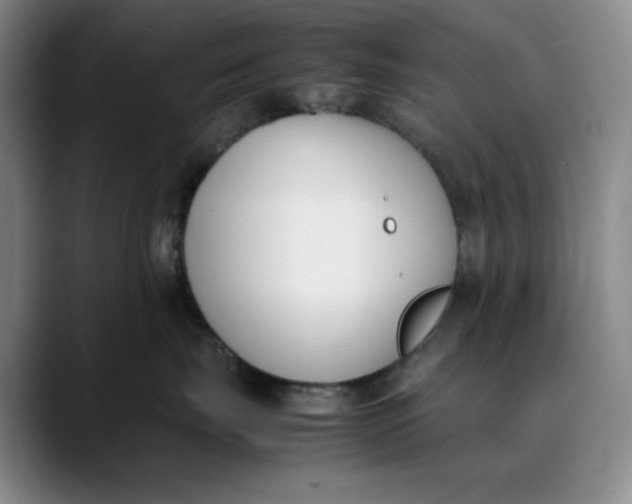 X0000088680671200706141355