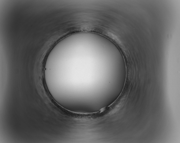 X0000088680673200706141355