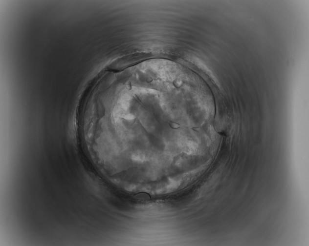 X0000088680674200706141355