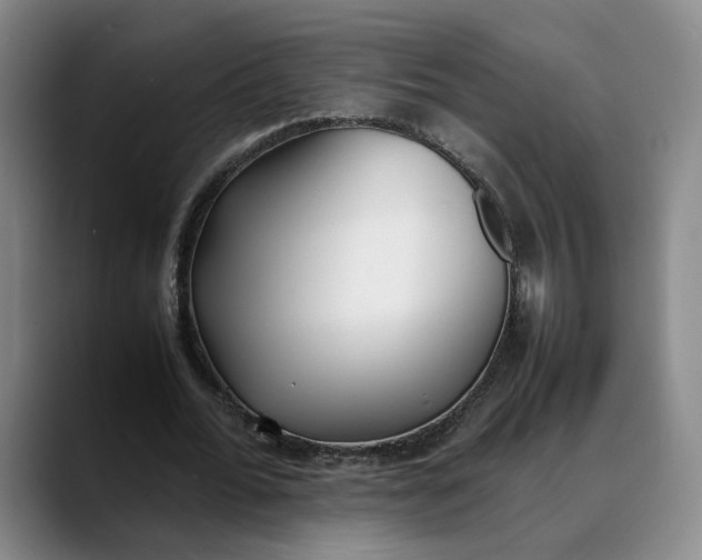 X0000088680676200706141355