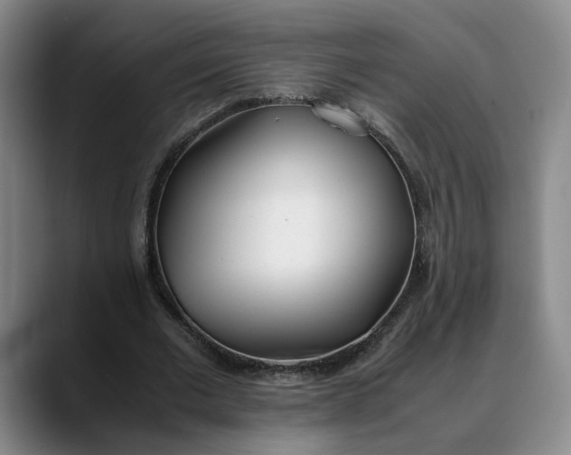 X0000088680677200706141355