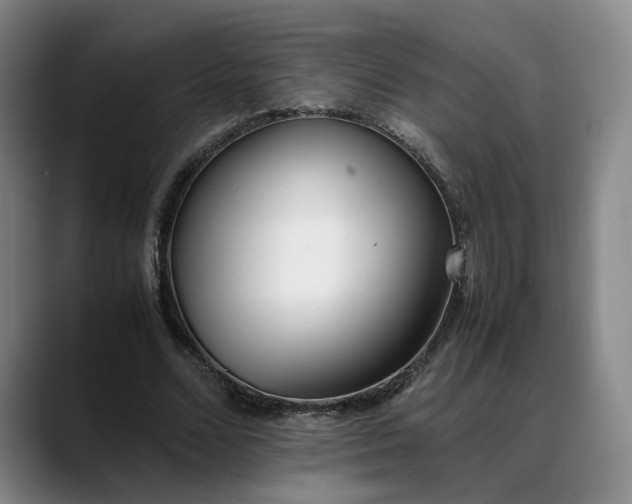 X0000088680680200706141355