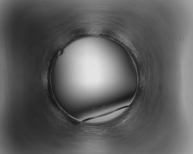 X0000088680681200706141355