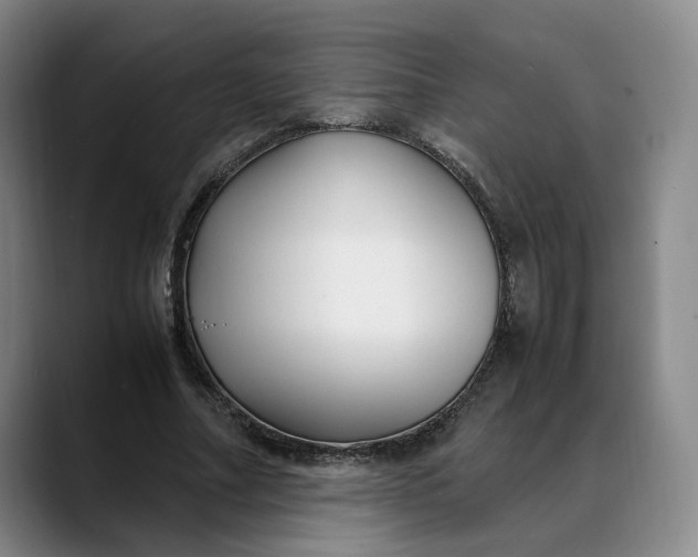 X0000088680682200706141354