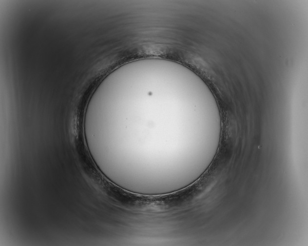 X0000088680683200706141354