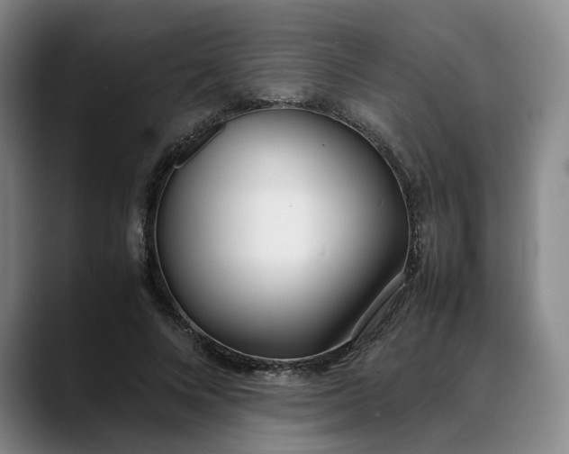 X0000088680688200706141354
