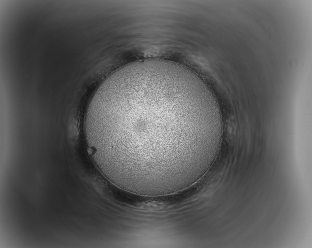 X0000088680691200706141354