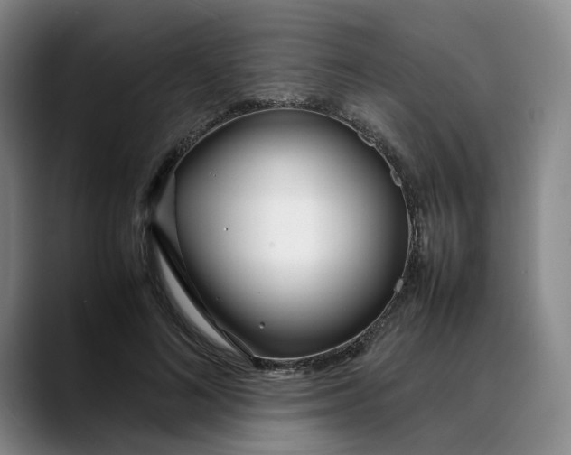 X0000088680692200706141354