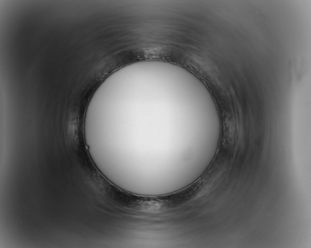 X0000088680698200706141354