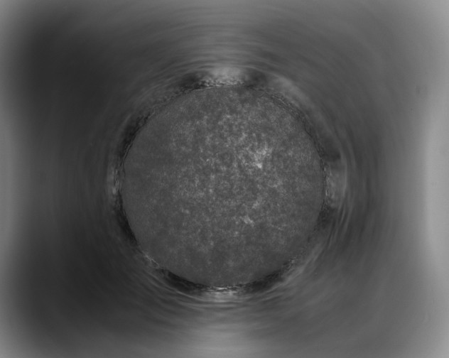 X0000088680701200706141354