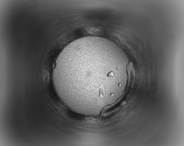 X0000088680703200706141354