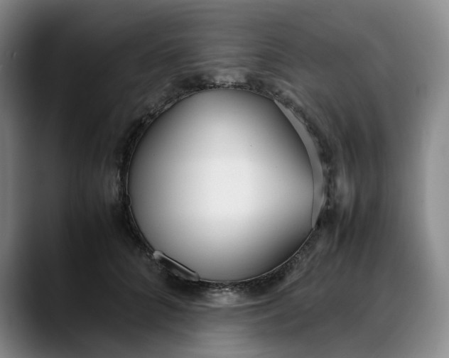 X0000088680704200706141354
