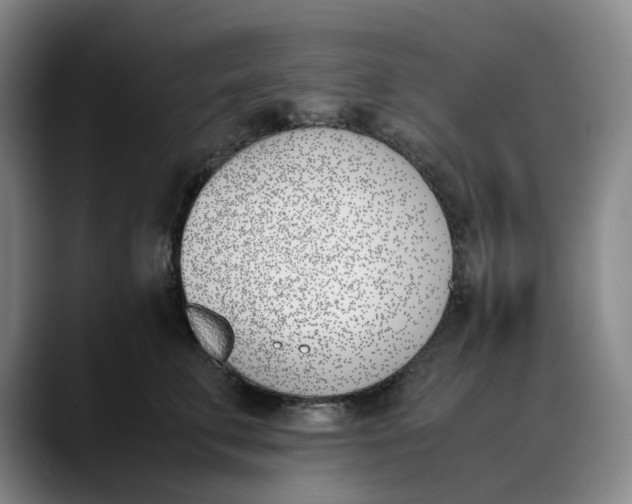 X0000088680711200706141354
