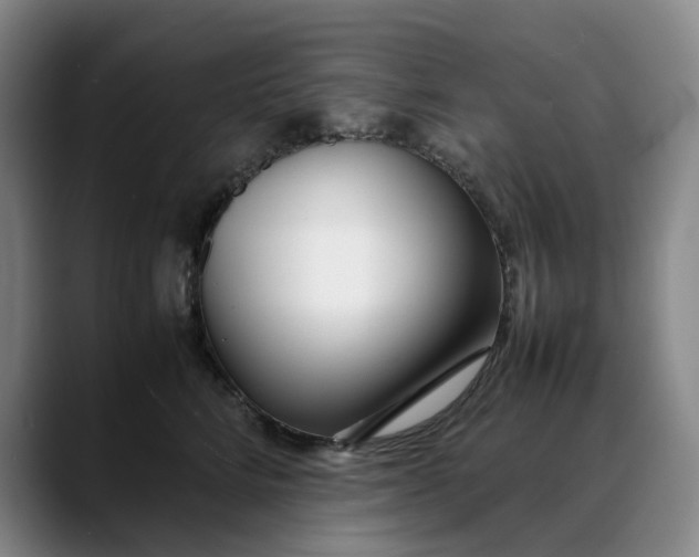 X0000088680712200706141354