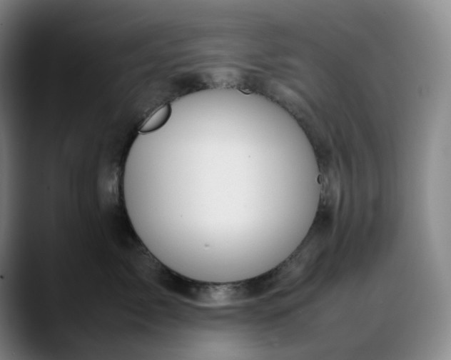 X0000088680717200706141354