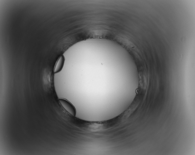 X0000088680718200706141354