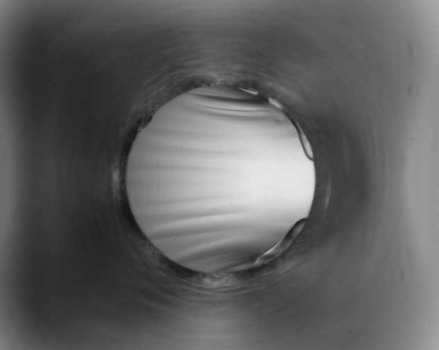 X0000088680720200706141354