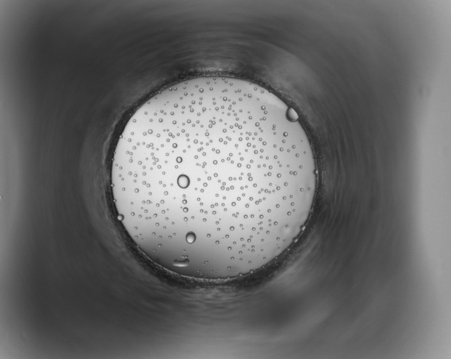 X0000088680721200706141354