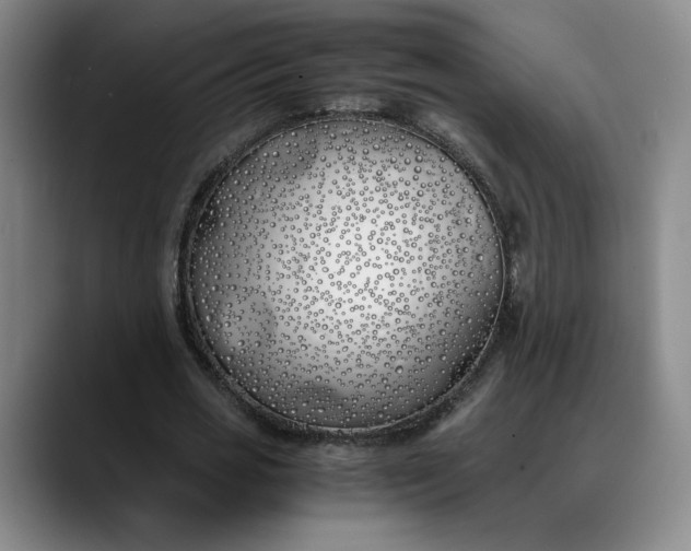 X0000088680725200706141354
