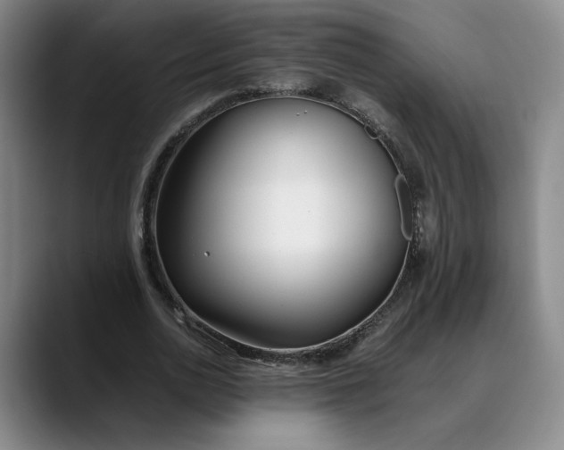 X0000088680726200706141354