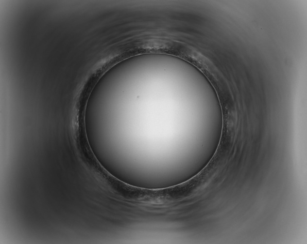 X0000088680727200706141354