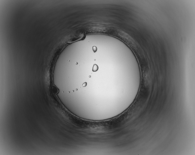 X0000088680729200706141354