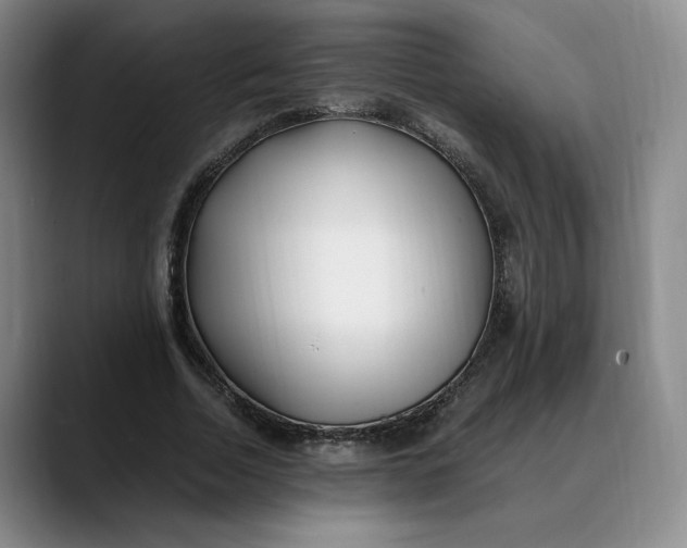 X0000088680730200706141354