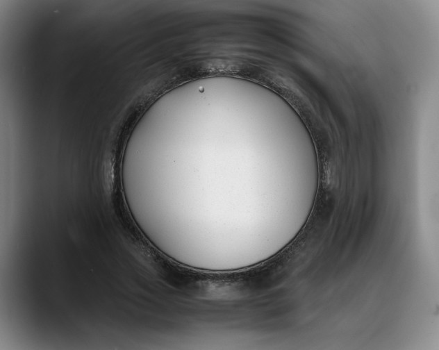 X0000088680733200706141354