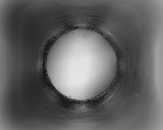 X0000088680735200706141354