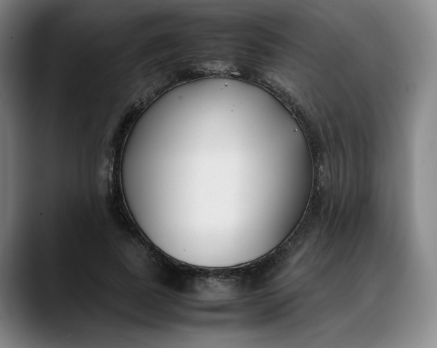 X0000088680739200706141354