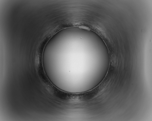X0000088680740200706141354