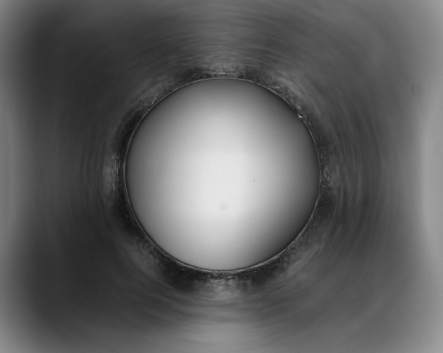 X0000088680744200706141354