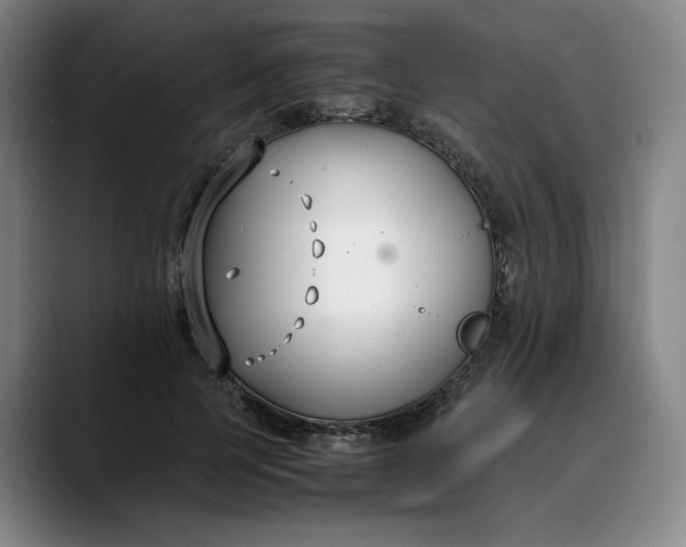 X0000088680745200706141354