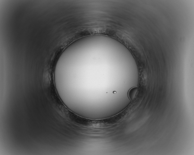 X0000088680746200706141354