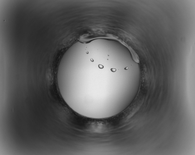 X0000088680751200706141354