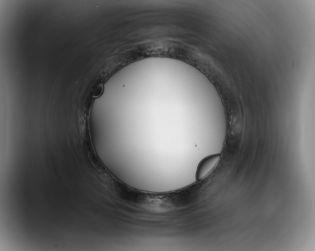 X0000088680753200706141354