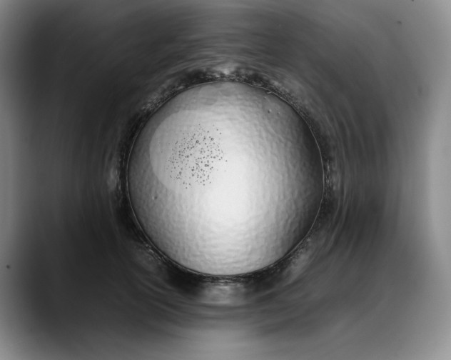 X0000088680754200706141354