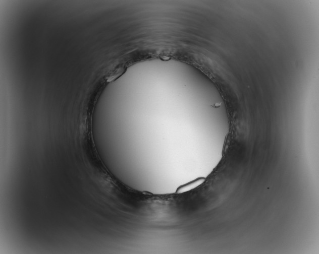 X0000088680756200706141354