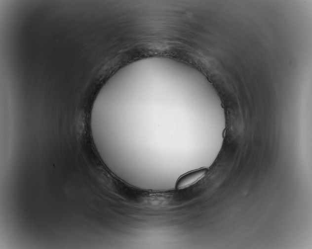 X0000088680758200706141354