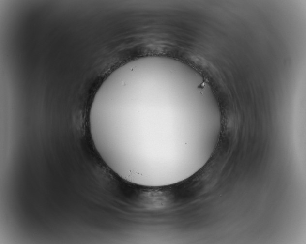 X0000088680759200706141354