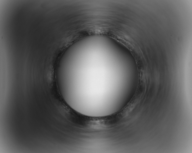 X0000088680760200706141354