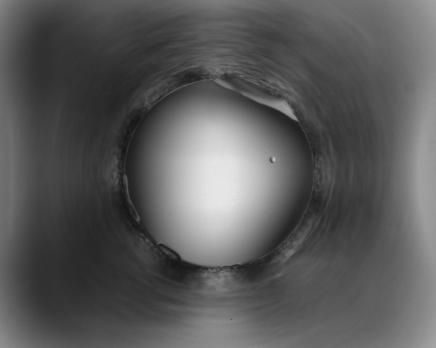 X0000088680762200706141354