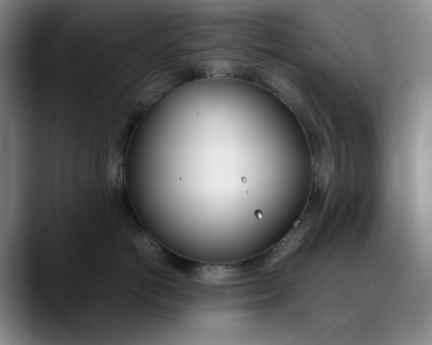 X0000088680766200706141354
