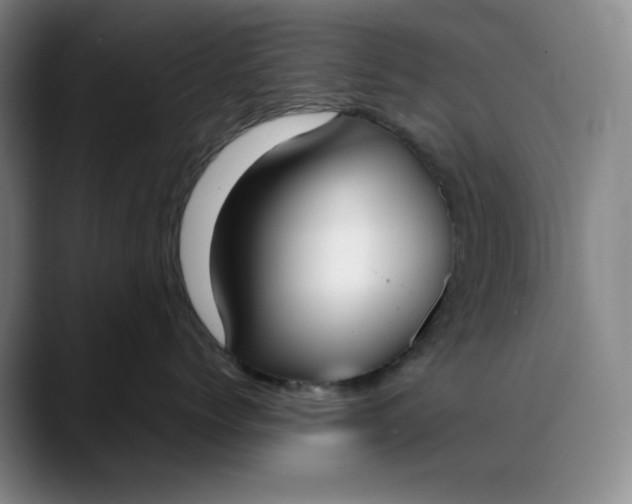 X0000088680768200706141354