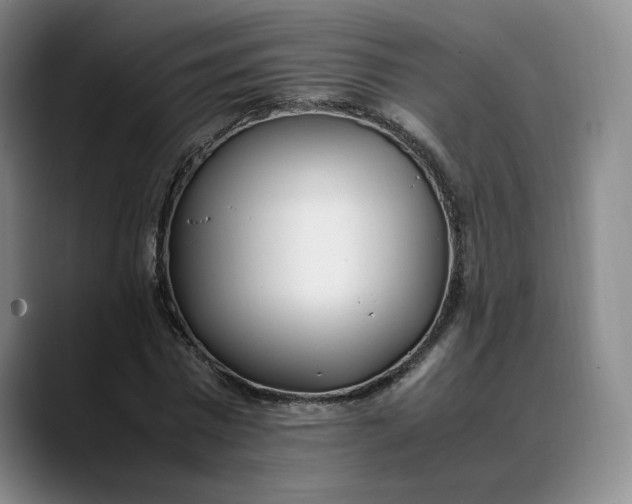 X0000088680777200706141353