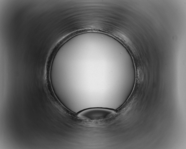 X0000088680780200706141353