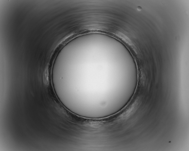 X0000088680782200706141353