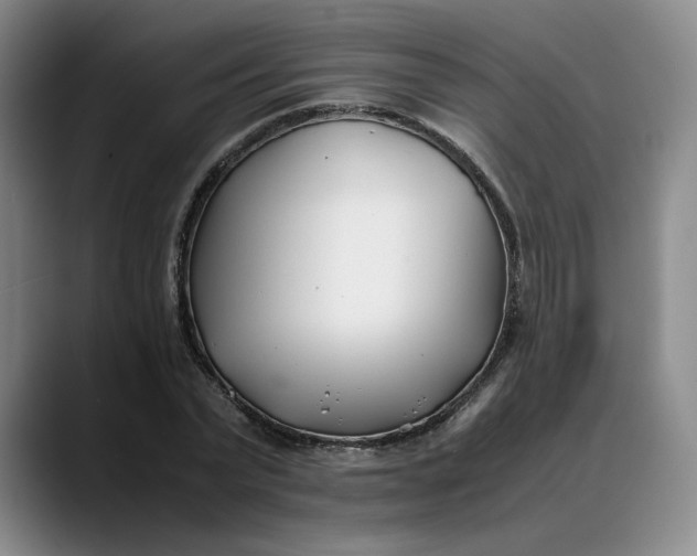 X0000088680783200706141353