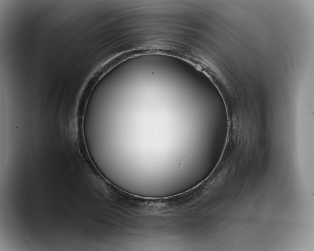 X0000088680784200706141353